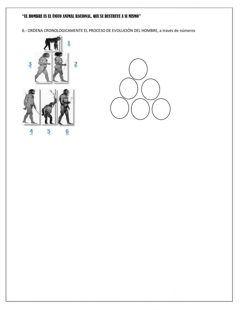 Las eras geológicas y la evolución del hombre