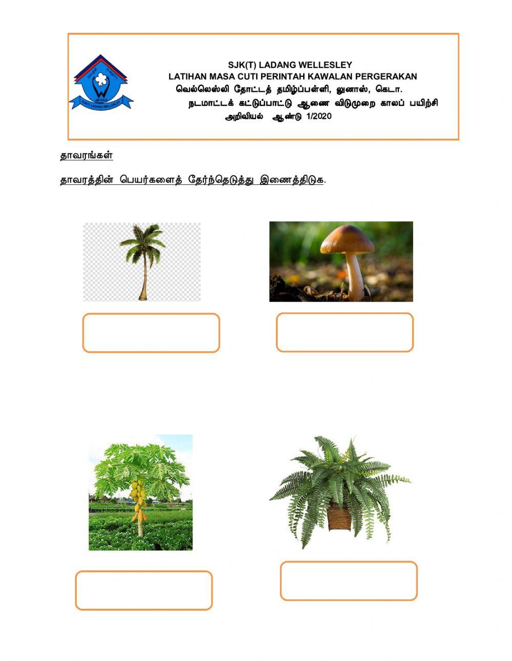 அறிவியல் (ஆண்டு 1)