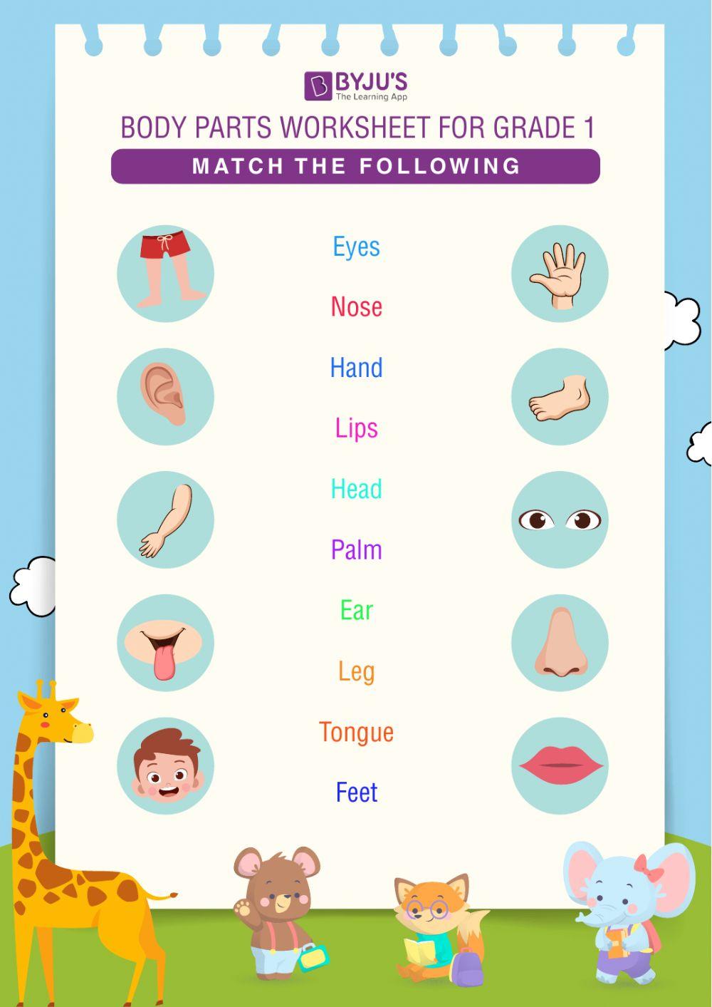 Matching Body Parts Worksheet For Kindergarten Pdf Free Download