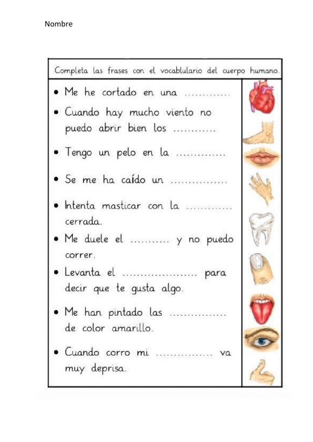 El cuerpo humano El cuerpo humano