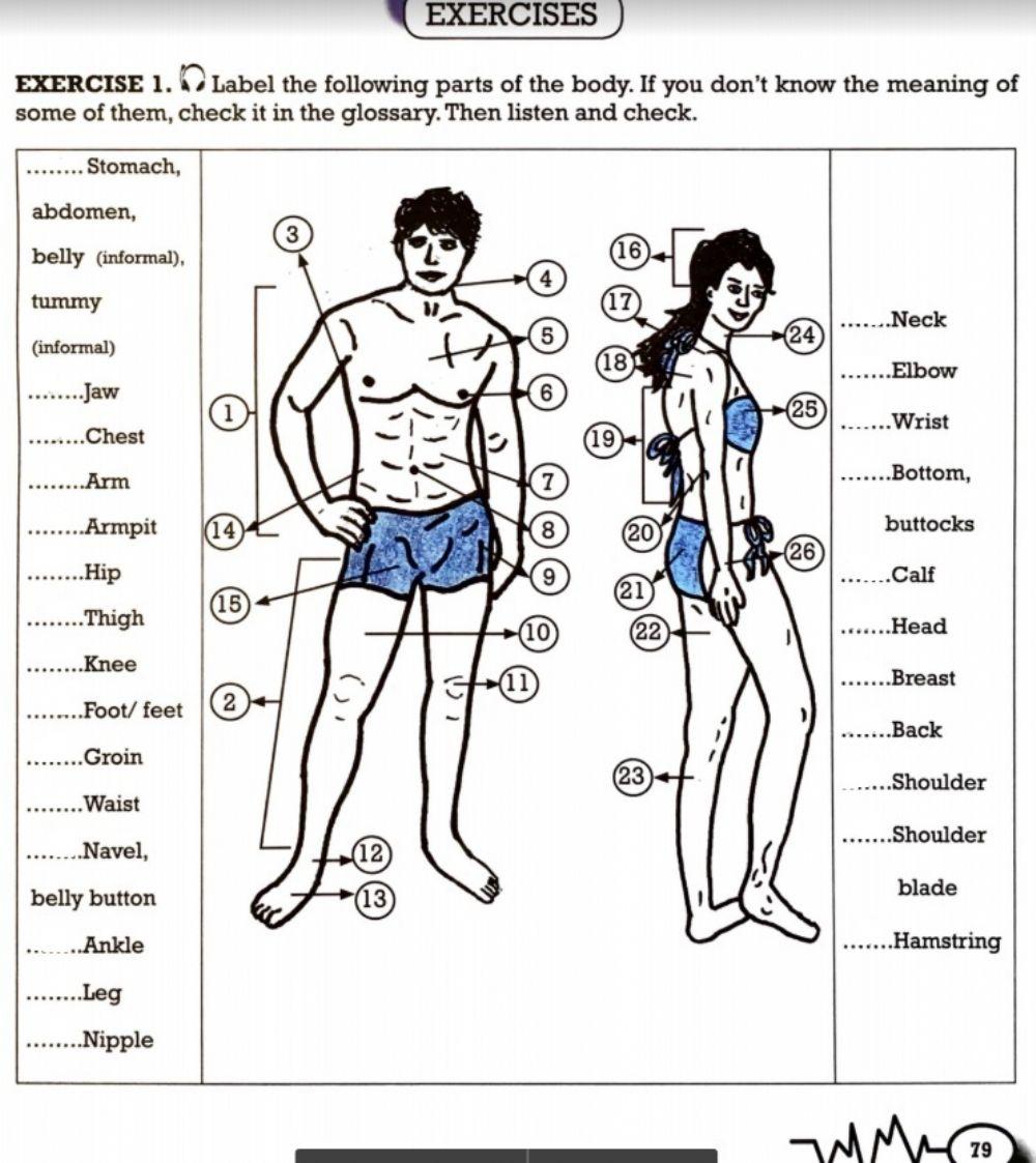 Body parts- parts del cos
