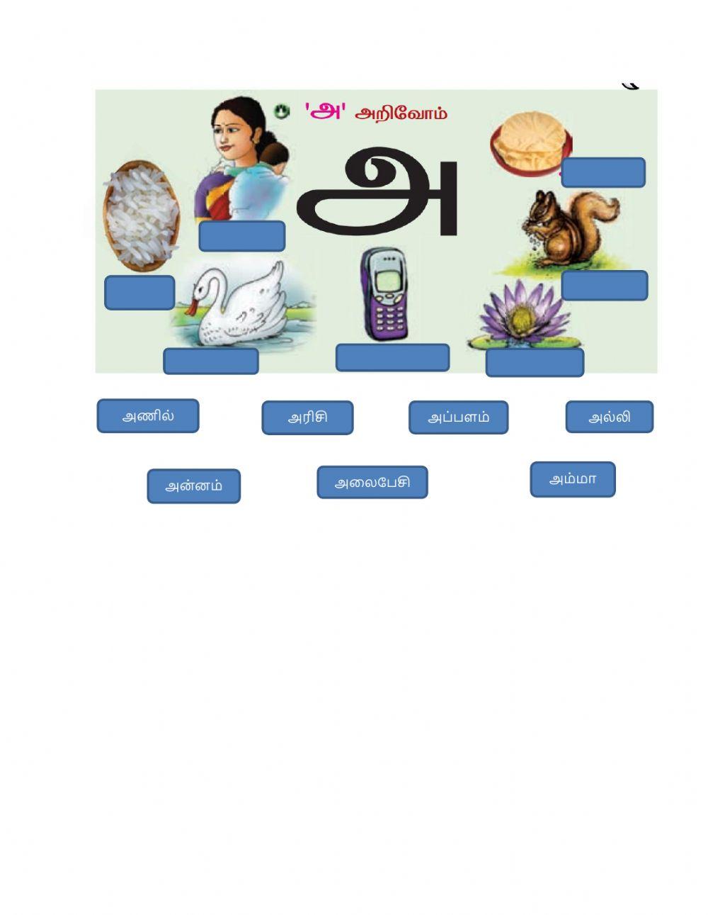 Tamil-அ எழுத்துக்கள் - படங்களை பார்த்து பெயர்களை பொருத்து