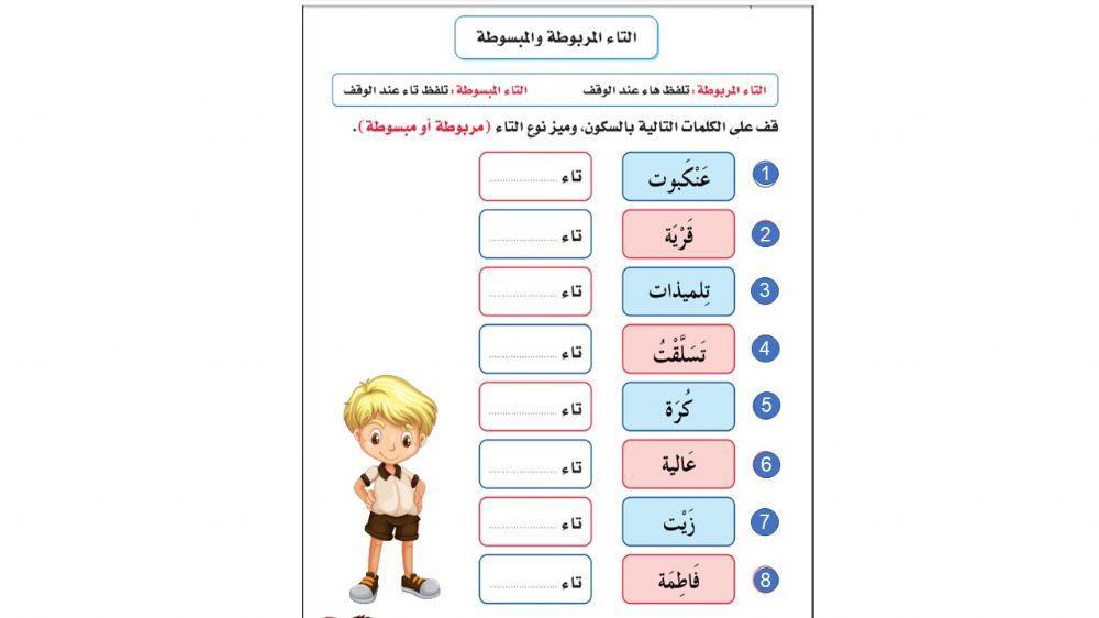 التاء المفتوحة و المربوطة