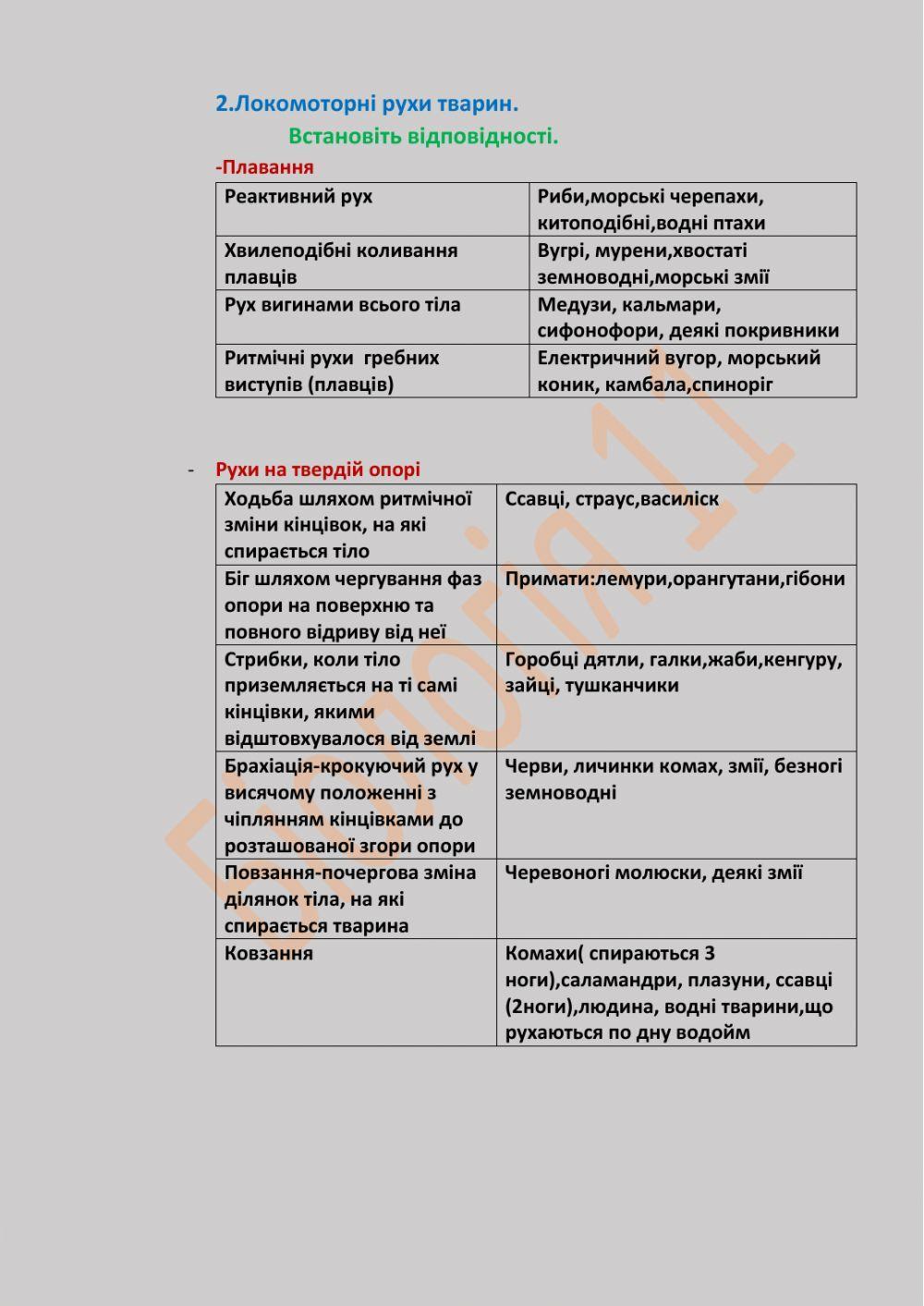 Рухи тварин