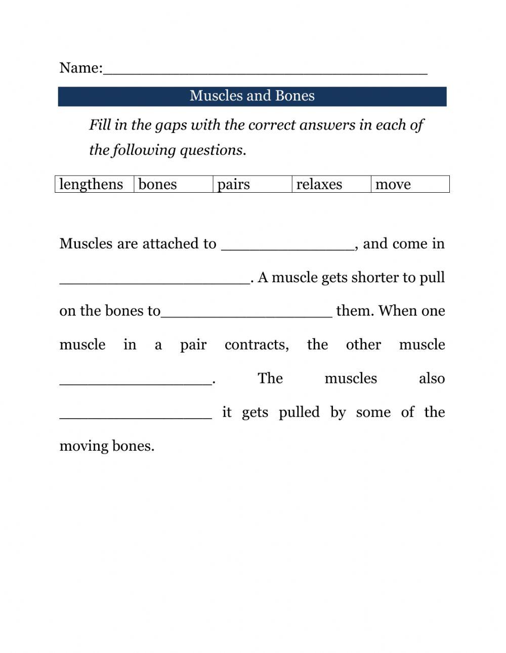 Muscles and Bones interactive worksheet | Live Worksheets