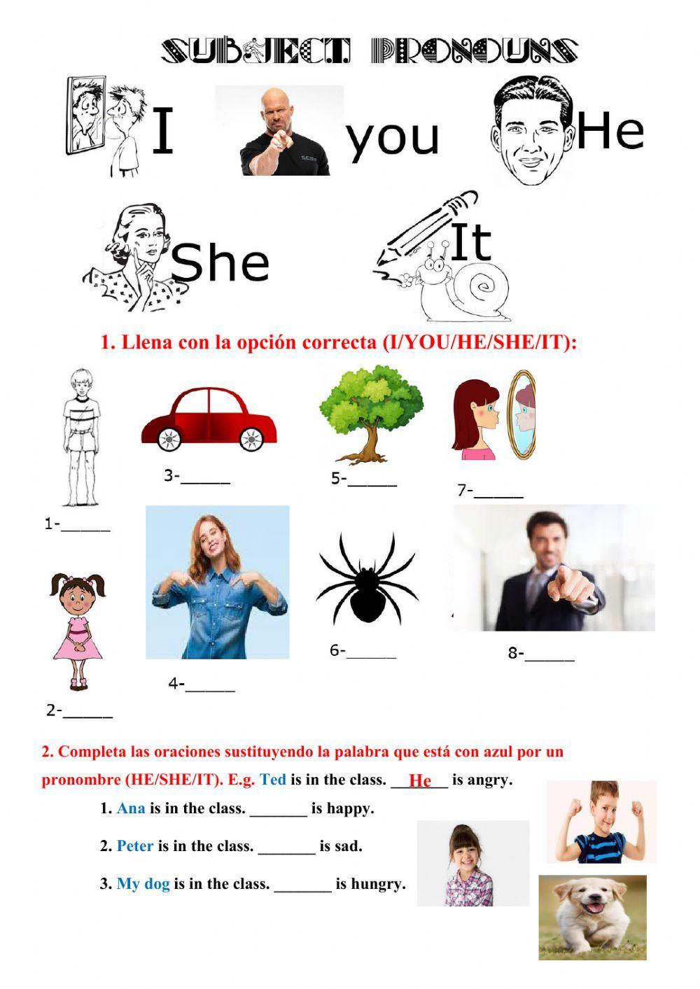 Subject Pronouns Singulars