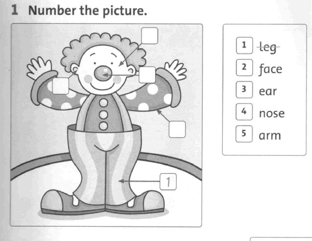 Unir parts of the body