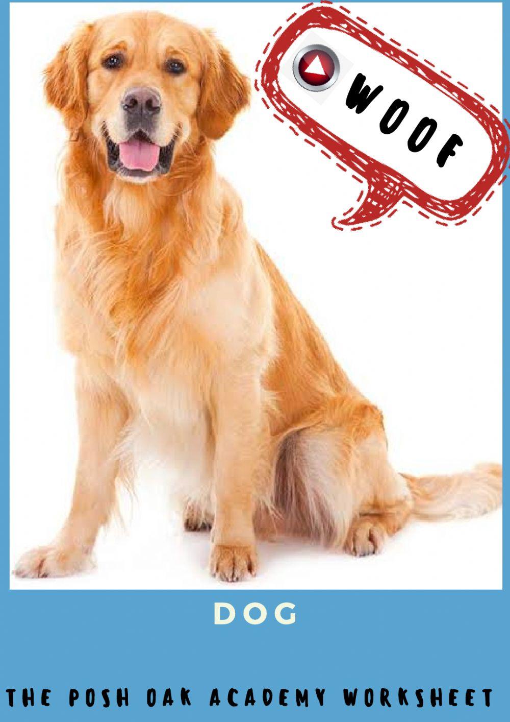 Animals and their sounds