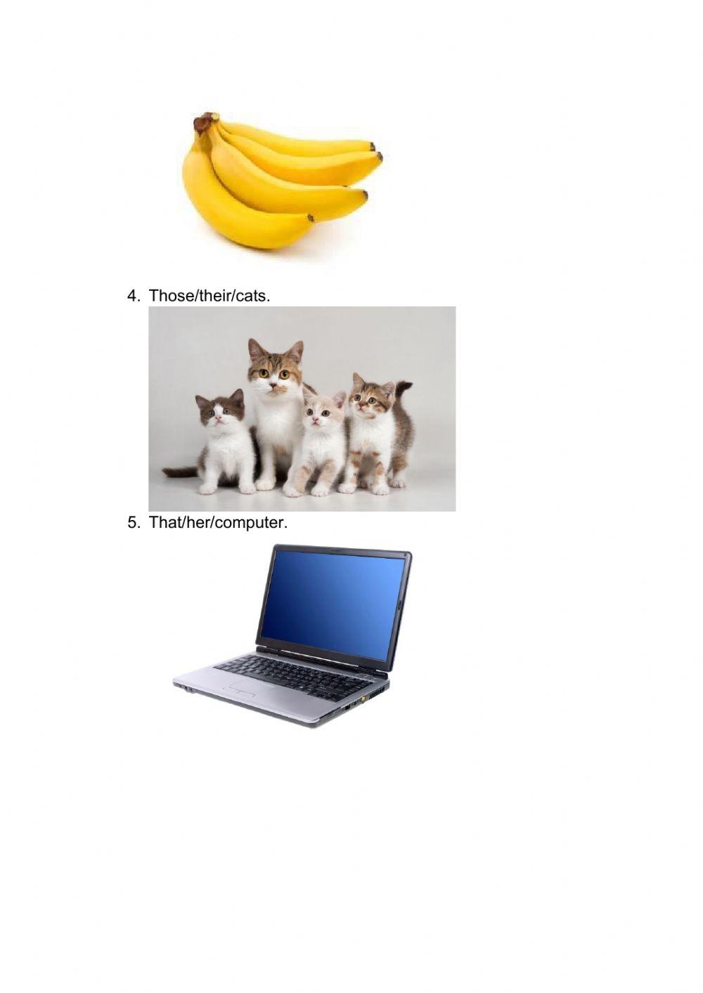 This that these those