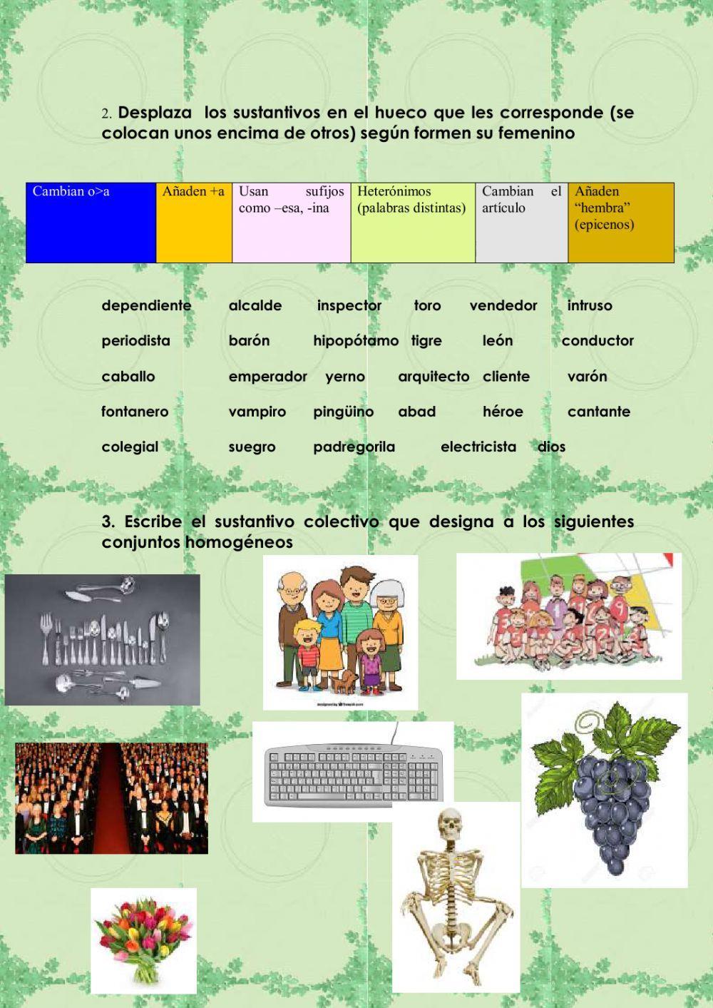 Repasando el sustantivo poquito  a poquito