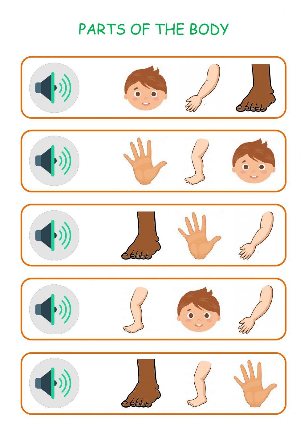 Parts of the body Parts of the body