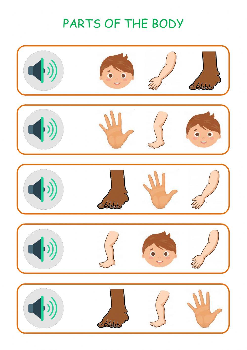 Parts of the body