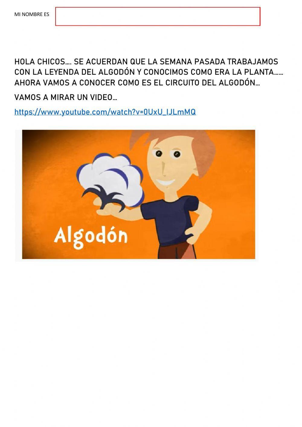 Algodon