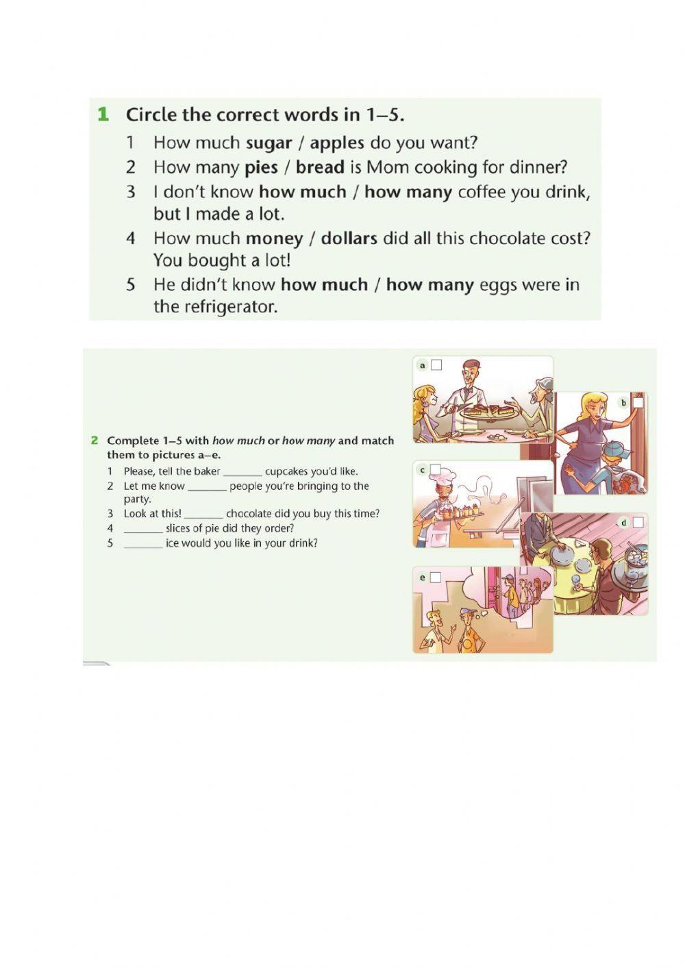 How much, how many, any, some