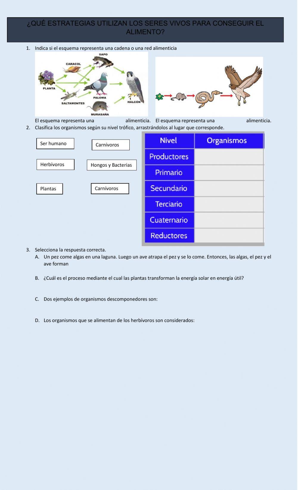 Redes y cadenas alimenticias
