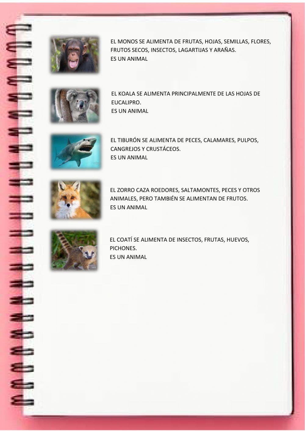 Alimentacion de los animales