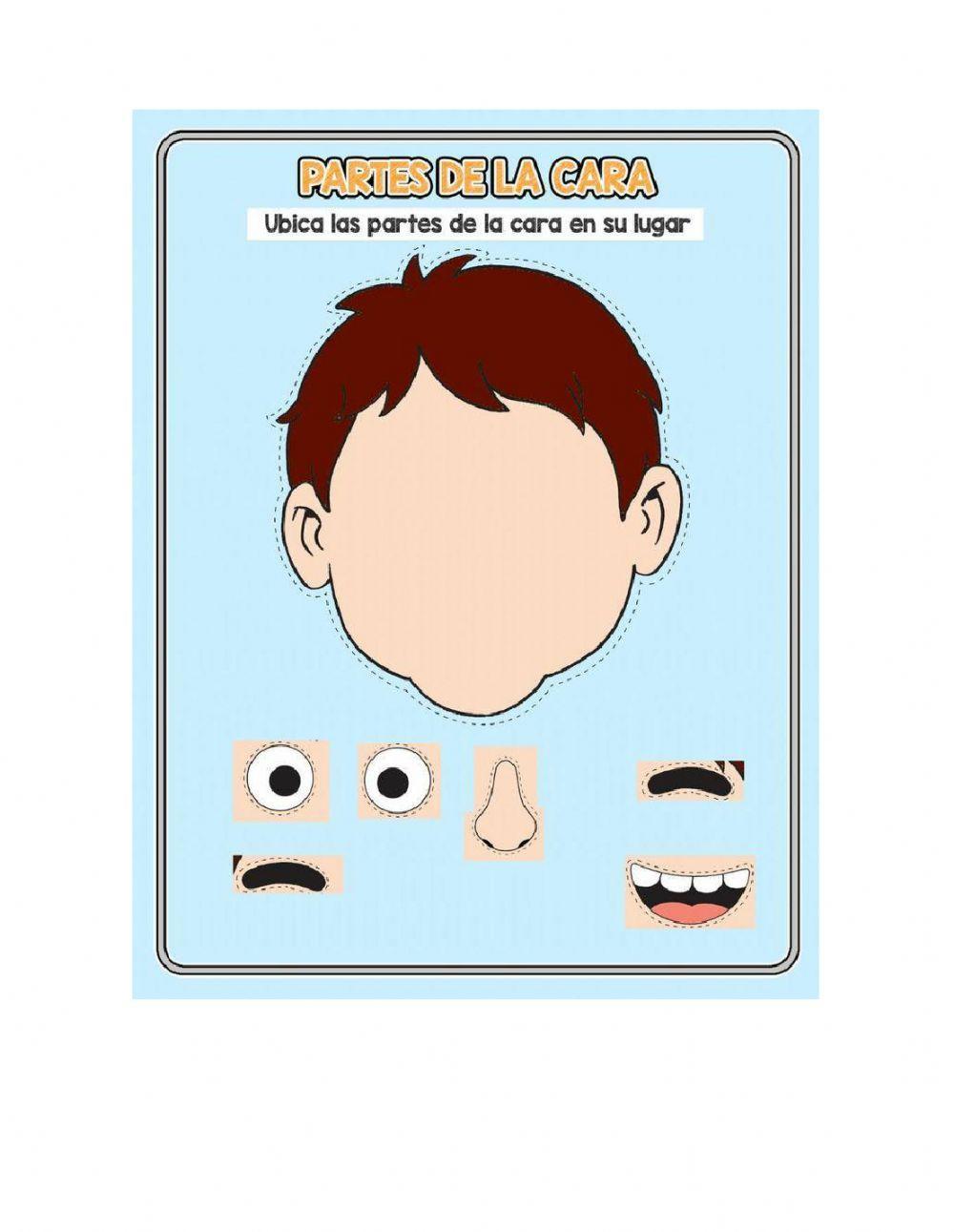 Arrastra la fruta hacia su sombra correcta