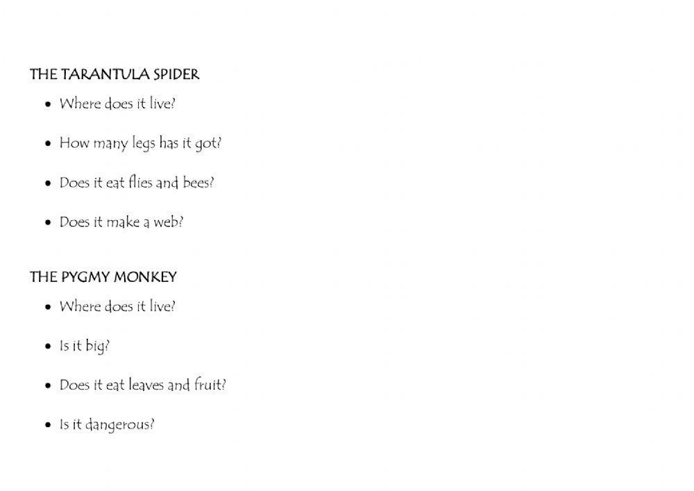 Amazing animal facts