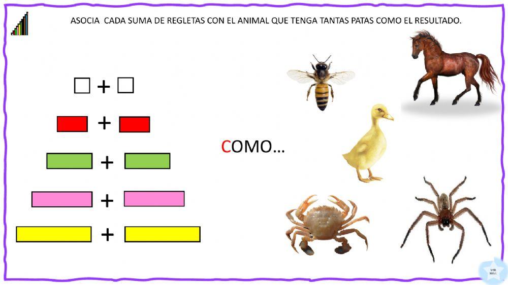 Asocia  cada suma de regletas con el animal que tenga tantas patas como el resultado.