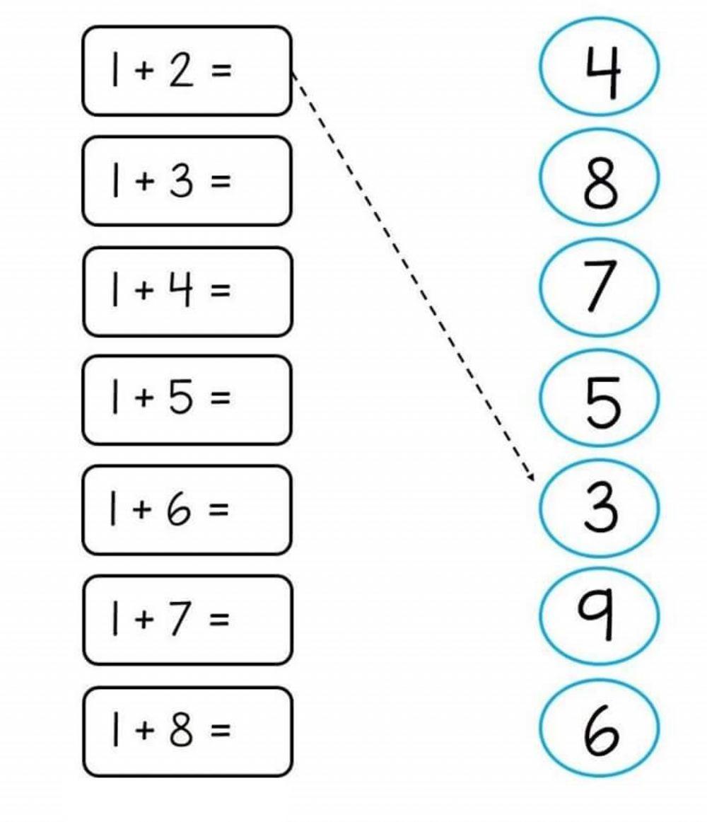 Pensamiento Matemático