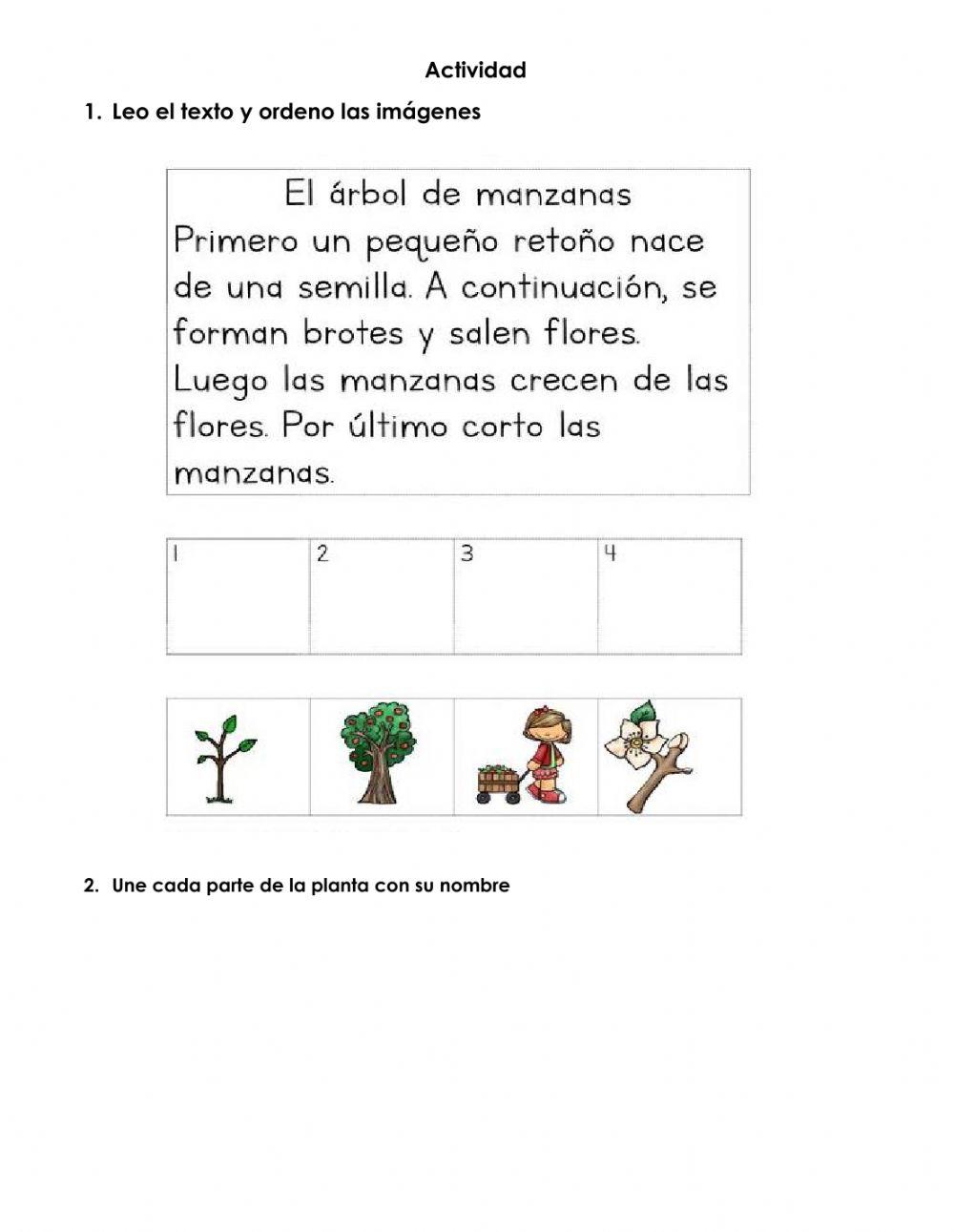 Las Plantas 0845 Alexagaviria Live Worksheets Las Plantas 0845 Alexagaviria Live Worksheets