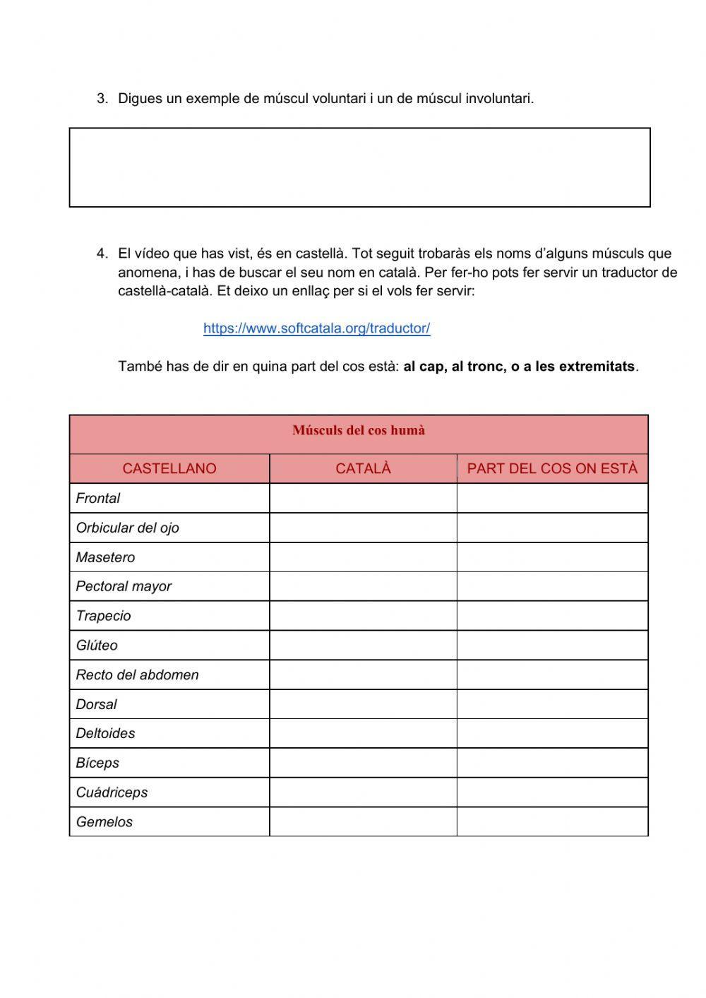 L’aparell locomotor: els músculs i els ossos
