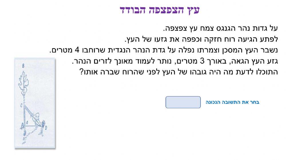חידות בלשיות בנושא שטחים ופיתגורס