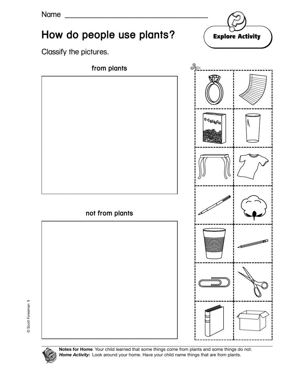 5885953 Things we get from plants Sushmita chettri