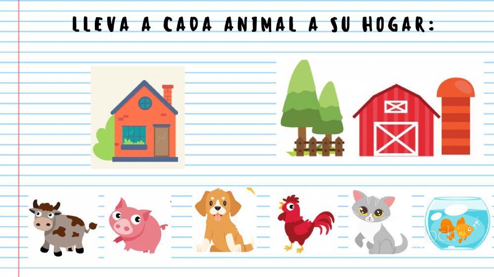 Cada animal a su hogar