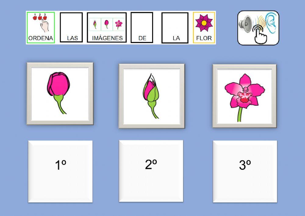 Ordena las imágenes 5