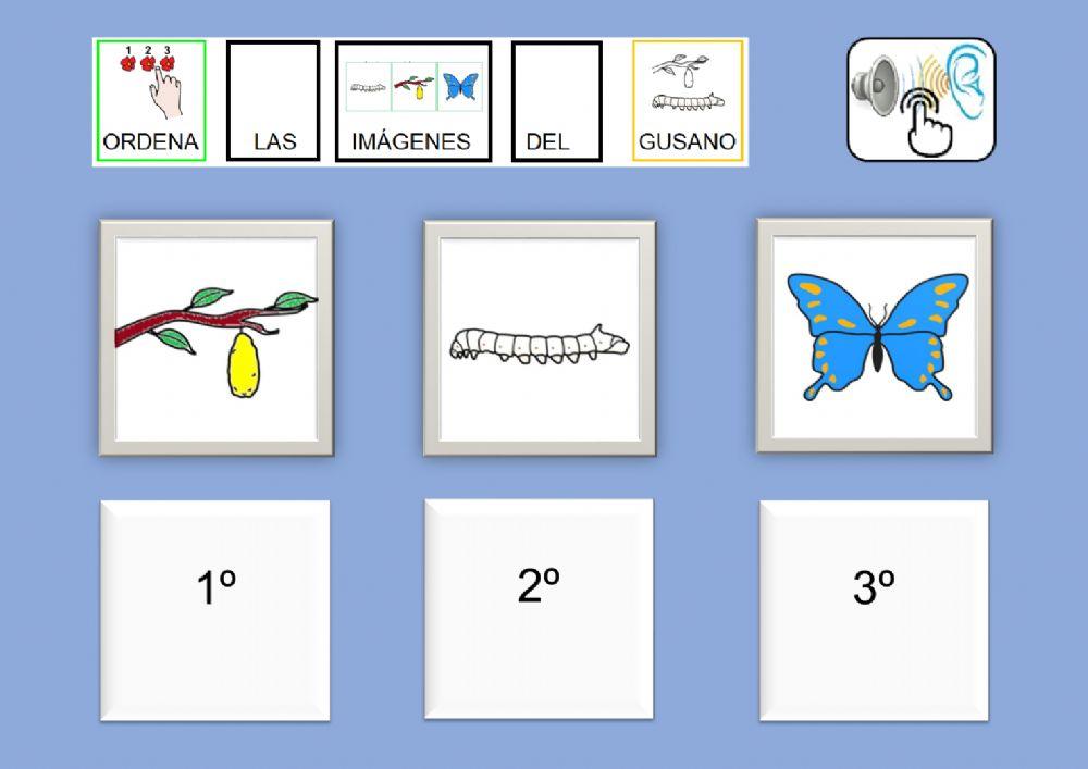 Ordena las imágenes 5