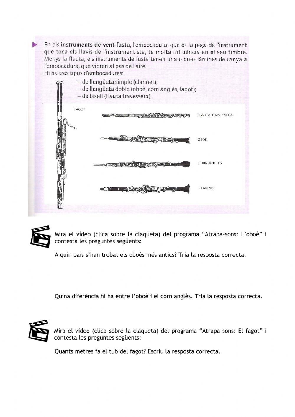 Els instruments de vent