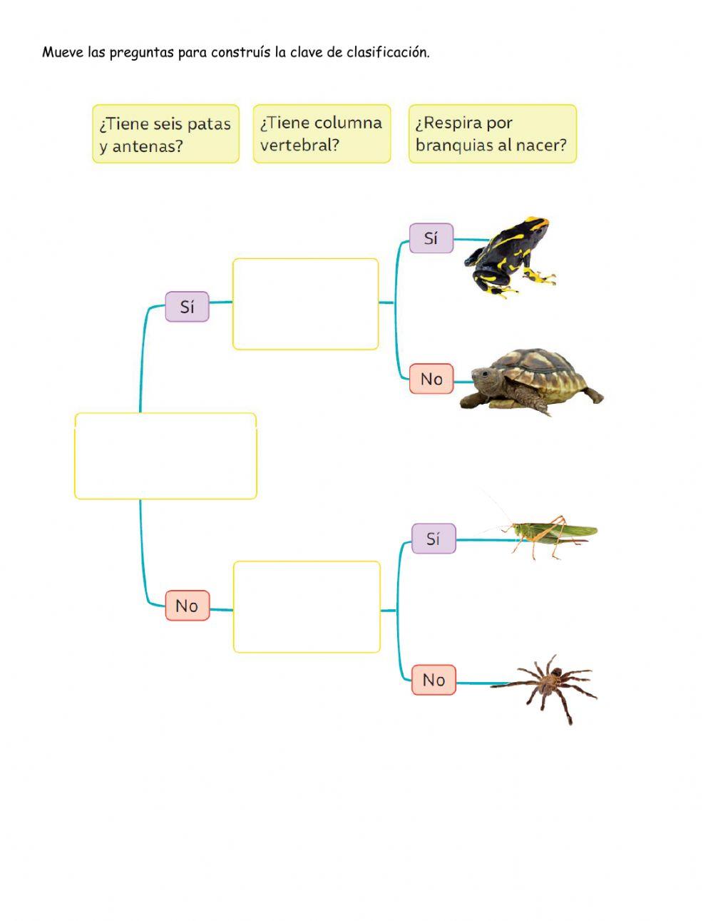 Animales vertebrado e invertebrados