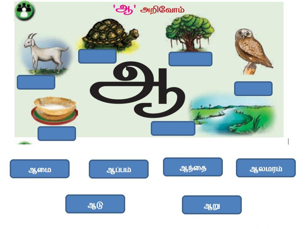 Tamil-PGNO 21-படங்களை பார்த்து பெயர்களை பொருத்துவேன்