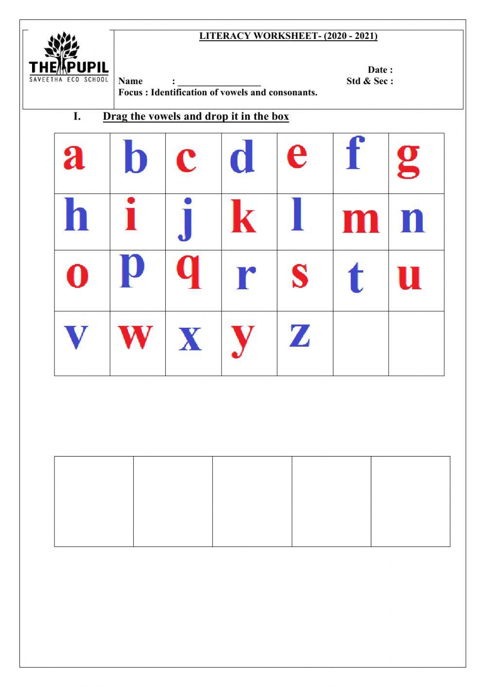 Vowels and sight words