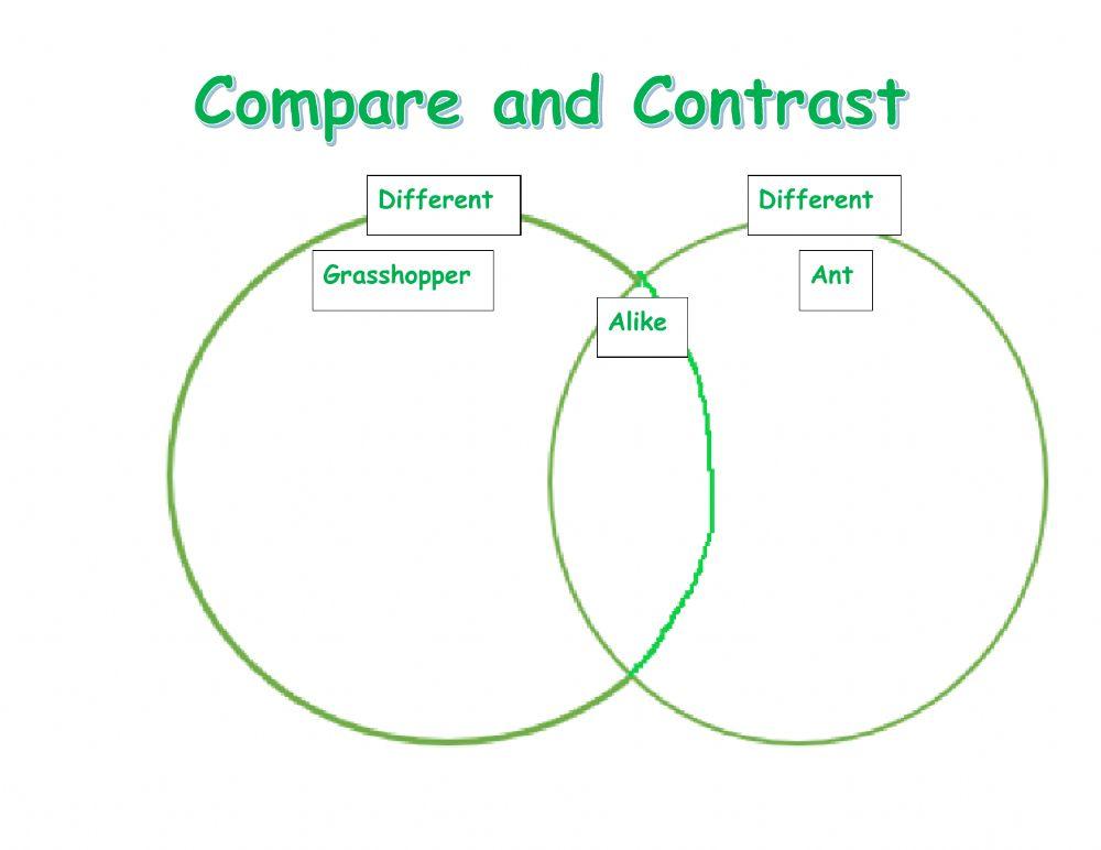 Compare and contrast Template