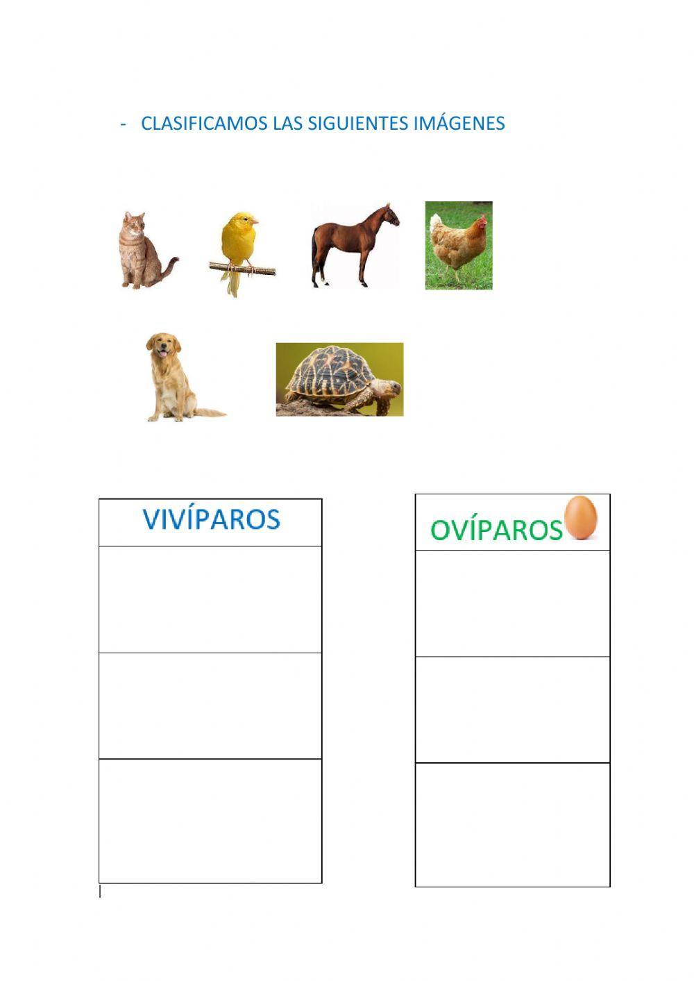 Los animales como nacen