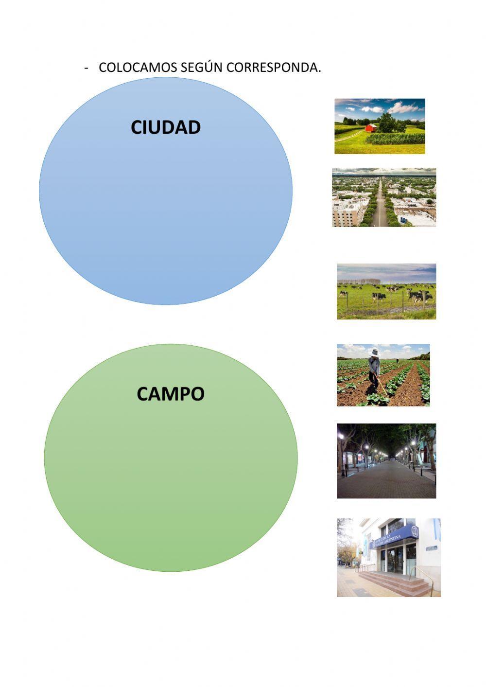 Campo. ciudad