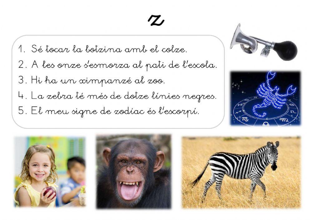 Lecto 16 - Z Lecto 16 - Z
