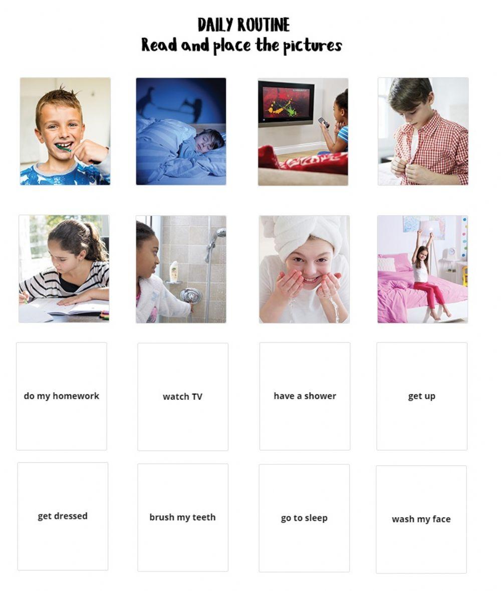 Daily Routine