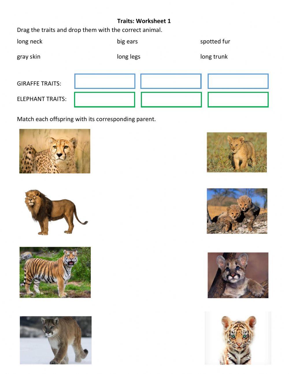 ITJ Traits Worksheet 1 PDF