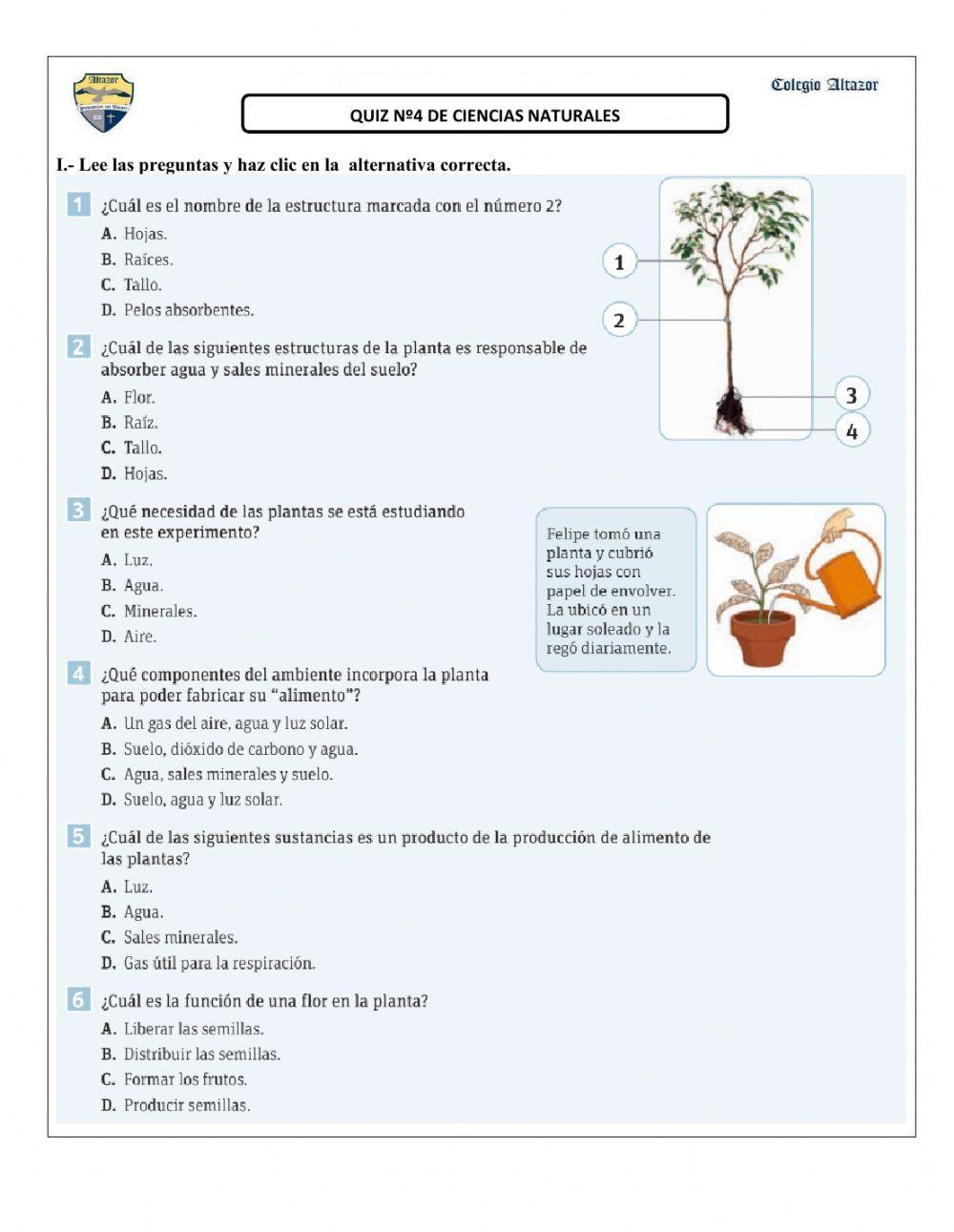 La importancia de las plantas