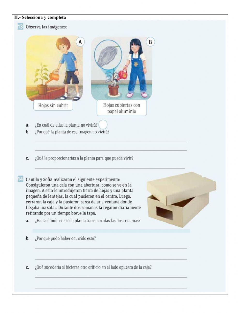 La importancia de las plantas