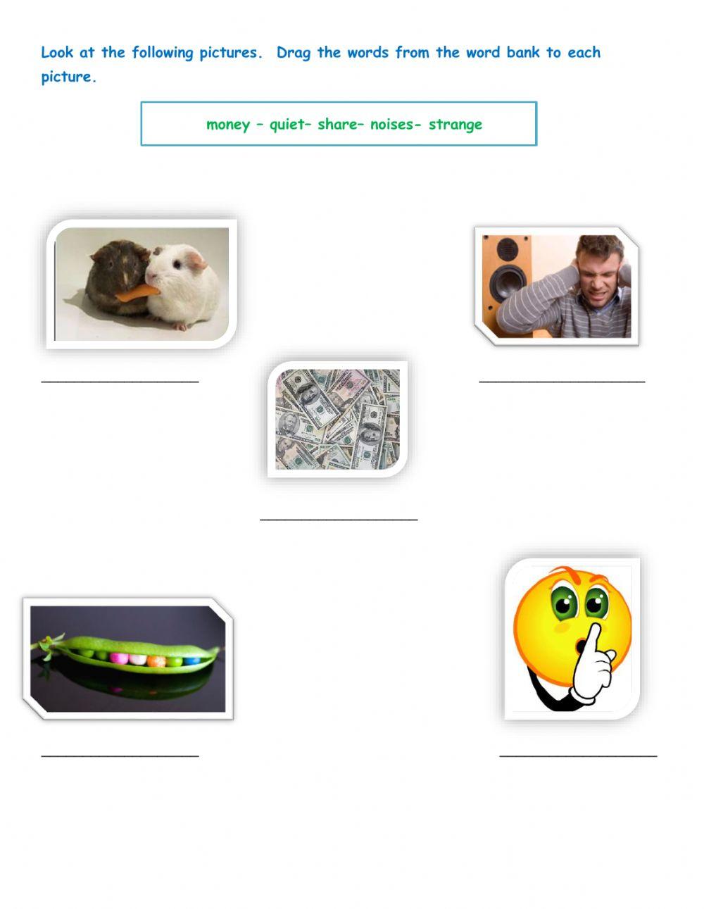 Foster's Famous Farm Vocabulary