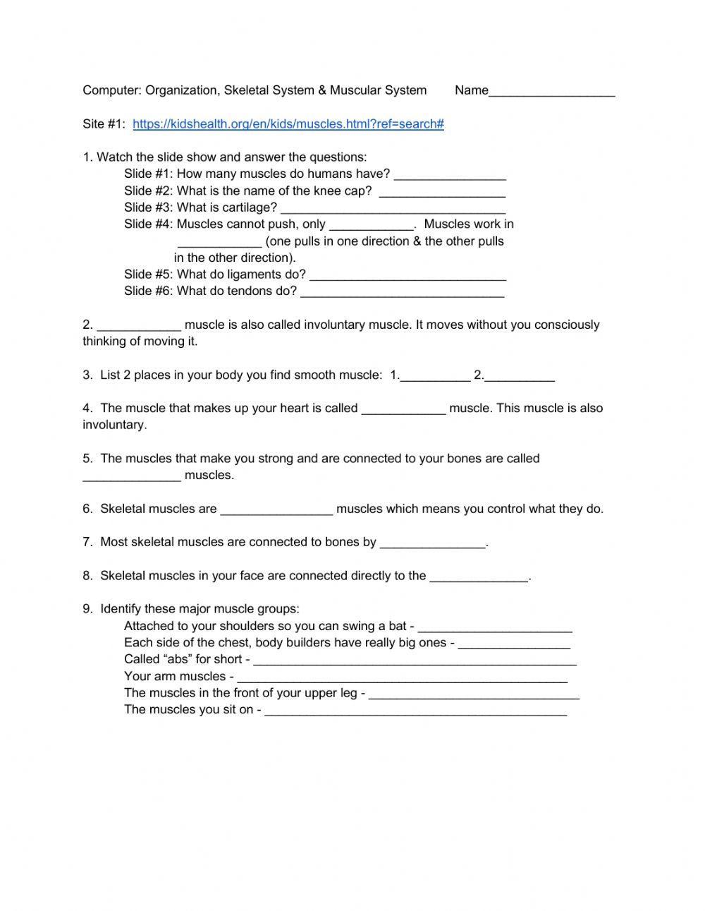 Muscular & Skeletal System Websearch Muscular & Skeletal System Websearch