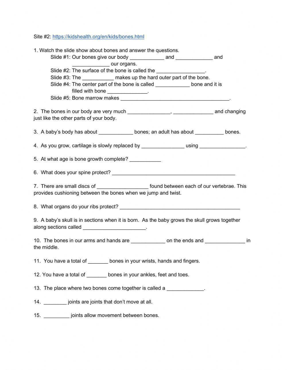 Muscular & Skeletal System Websearch Muscular & Skeletal System Websearch