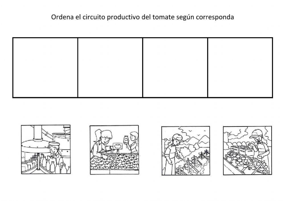 Recursos Y Actividades Para Educación Infantil: Ciclo Productivo Del Tomate