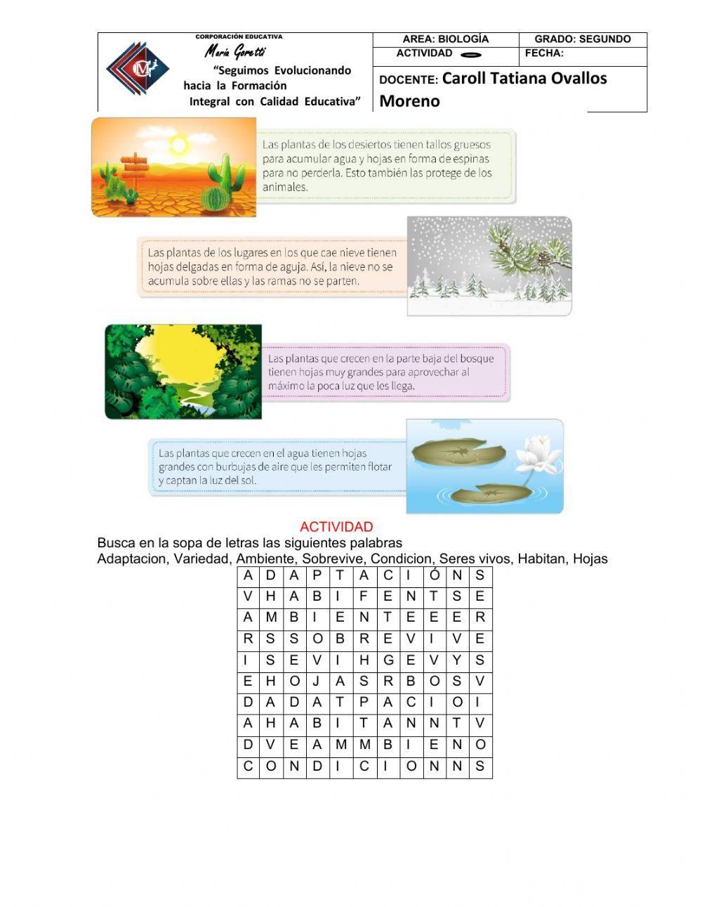 Adaptaciones en las plantas