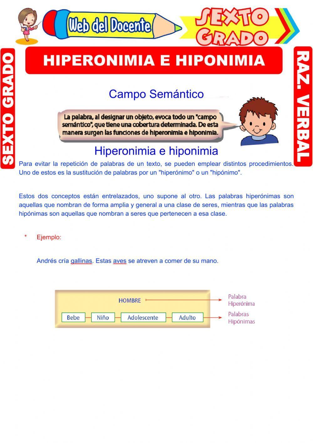 Hiperónimos e hipónimos Hiperónimos e hipónimos