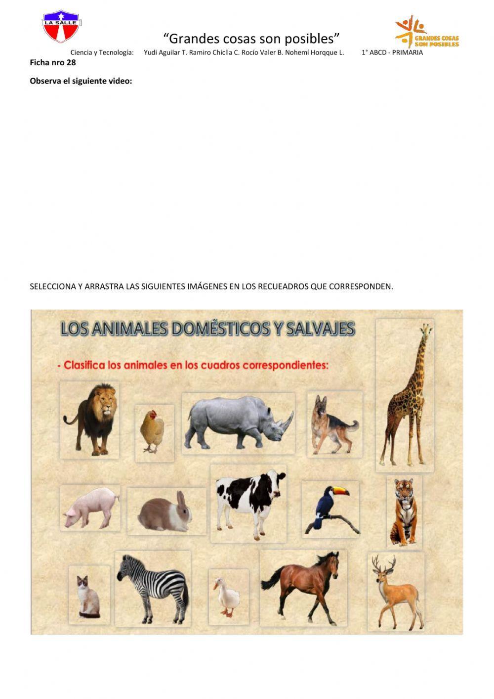 Animales salvajes y animales domésticos